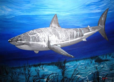 shark painting easy|super easy white shark painting.